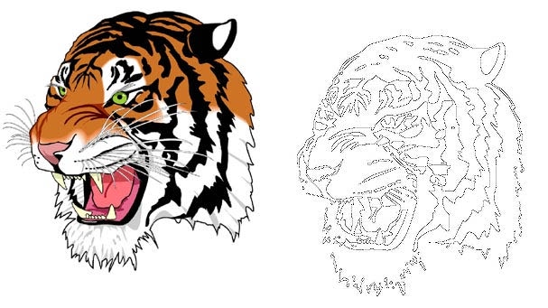 missouri tiger clip art free - photo #42