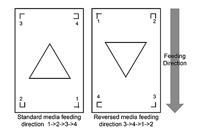 Auto Rotation