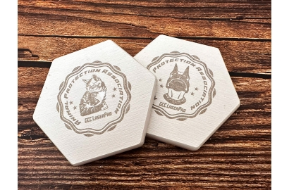 Diatomaceous earth absorbent coaster