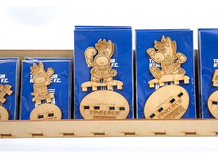 8- GCC LaserPro laser applications