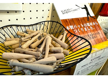 6-GCC LaserPro Mercury III applications