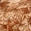Wood engraving with SmartCENTER function - laser engraving